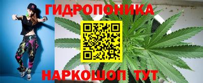 каннабис Будённовск
