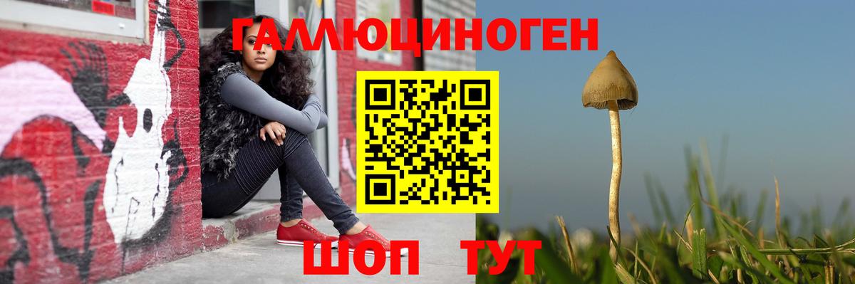 наркота  Псилоцибиновые грибы мухоморы  Вход с VPN  Кудрово 